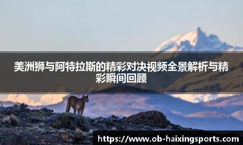 海星体育